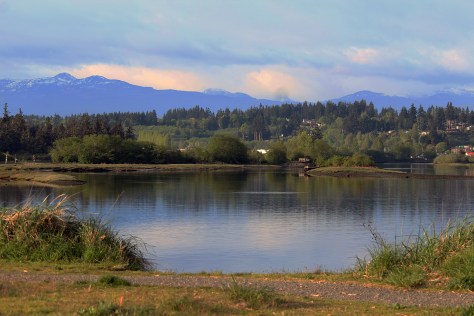 The Campbell River estuary with mountains in the distance The Campbell River estuary with mountains in the distance